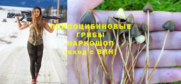 шишки Наволоки