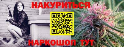 прущие крисы Камышлов