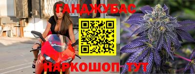 прущие крисы Камышлов