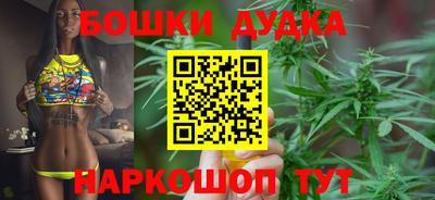 прущие крисы Камышлов