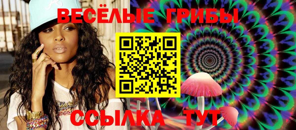 Псилоцибиновые грибы GOLDEN TEACHER Миасс