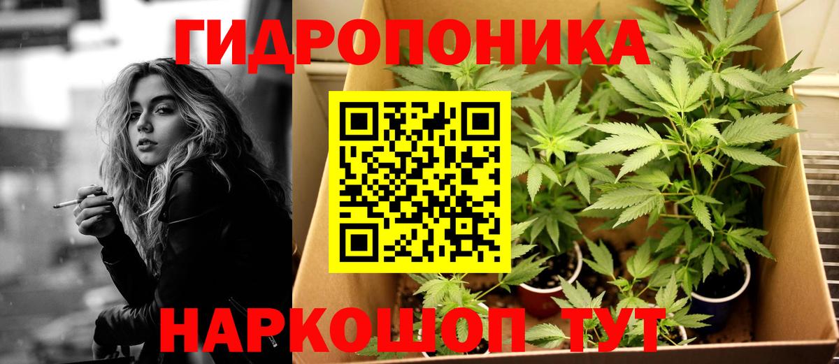 Каннабис план Миасс